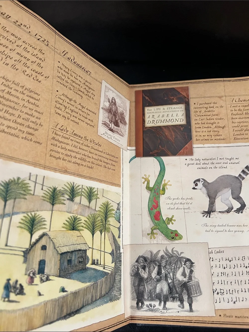Pirateology Hardcover Book with “Capt. Lubbers Journal” - preowned